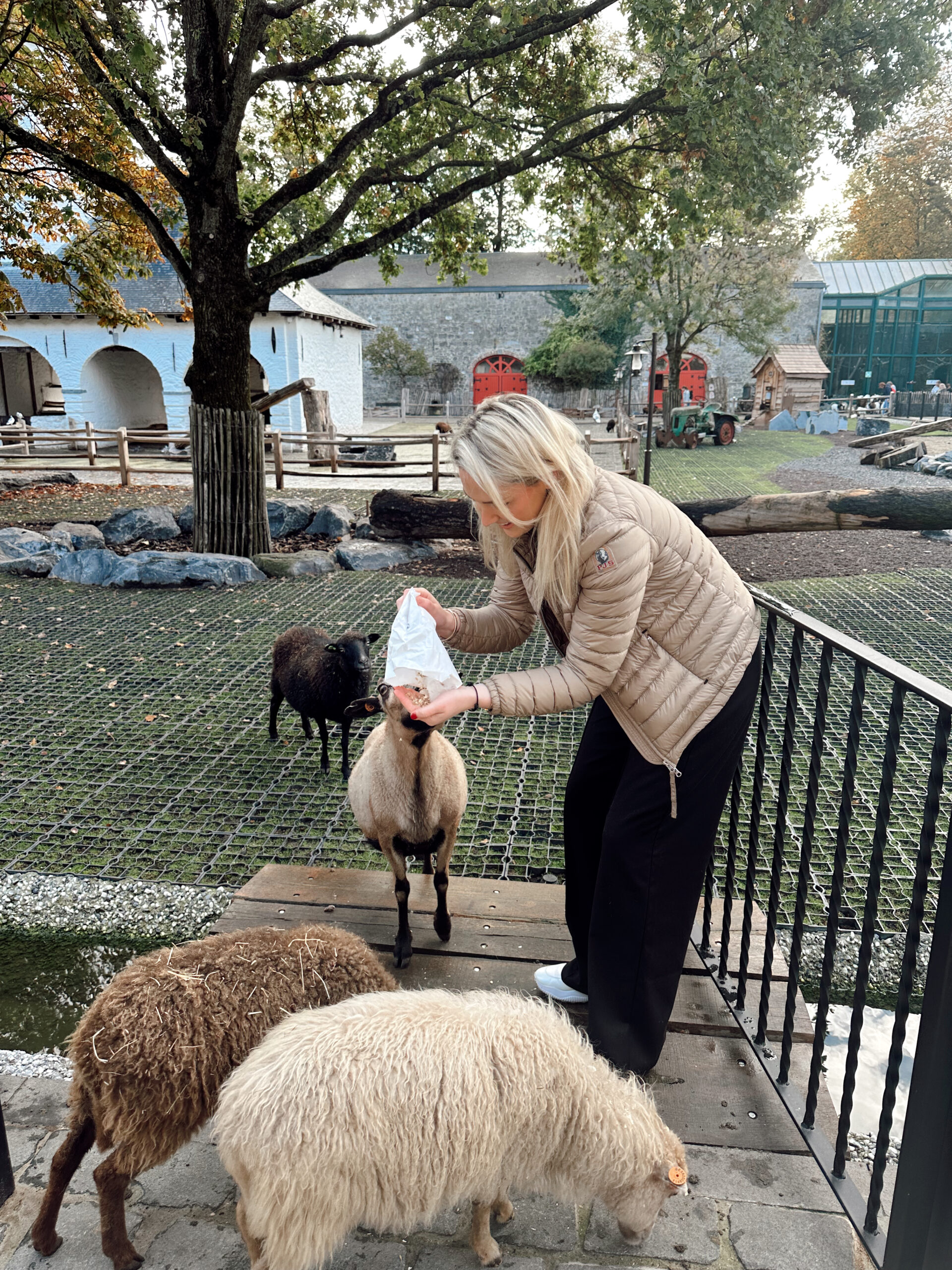 Met het gezin naar de beste dierentuin van Europa, PARI DAIZA